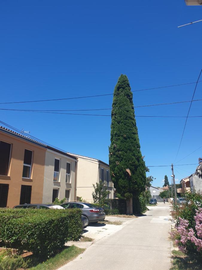 Apartmani Slavulj 法扎纳 外观 照片